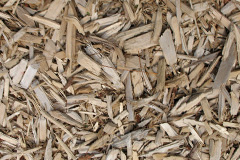 biomass boilers Ulcombe
